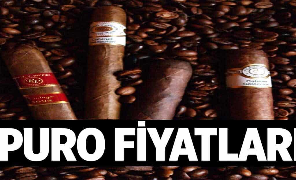 Puro Fiyatlari 1024x622Uwl.jpg