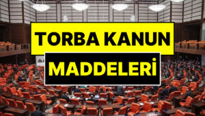 vergi uzmani torba kanun maddelerini geliyor gelmekte olan sozleriyle acikladi SKwM8vL8.jpg