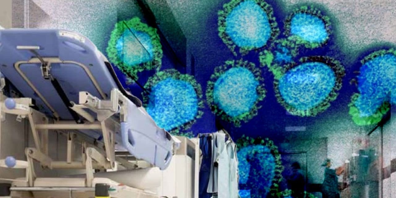 7 mutasyonlu H3N2 virüsü için “Türkiye’ye gelmesi an meselesi” uyarısı! Normal gripten çok daha hızlı yayılıyor