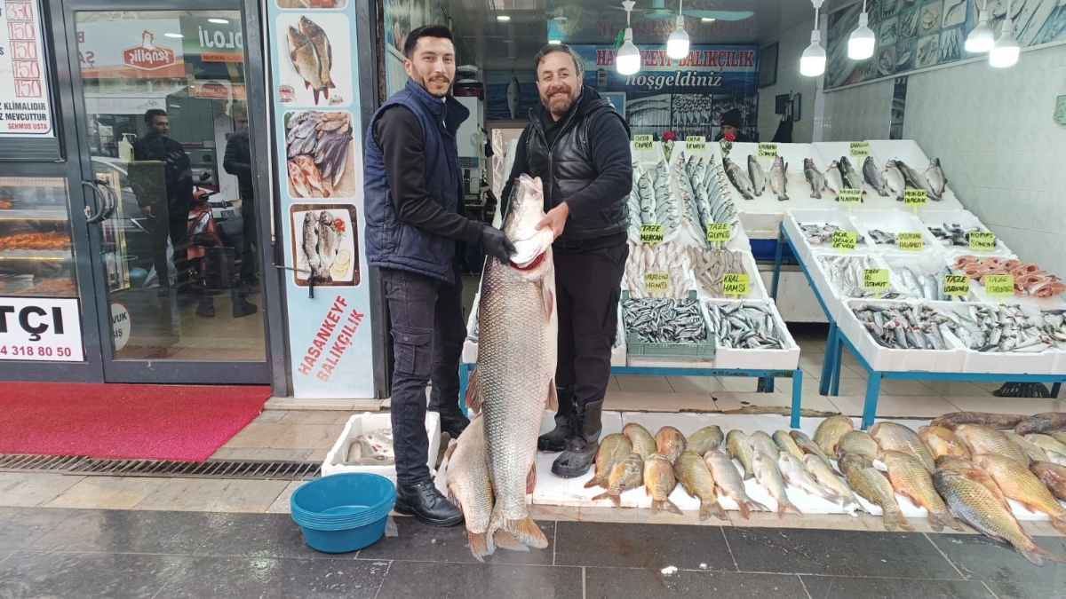 Batman’da 2 metre 10 santimlik dev turna balığı vatandaşların ilgisini çekti