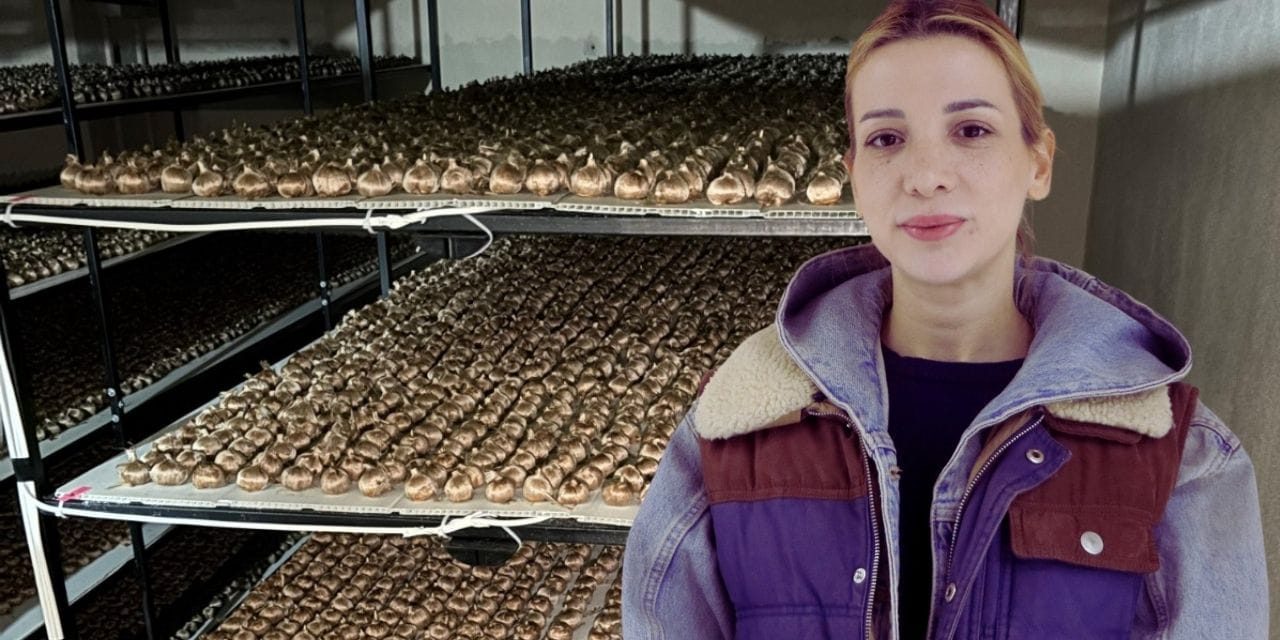 Deste deste paraların döndüğü işi yapıyordu bırakıp çiçek yetiştirmeye gitti