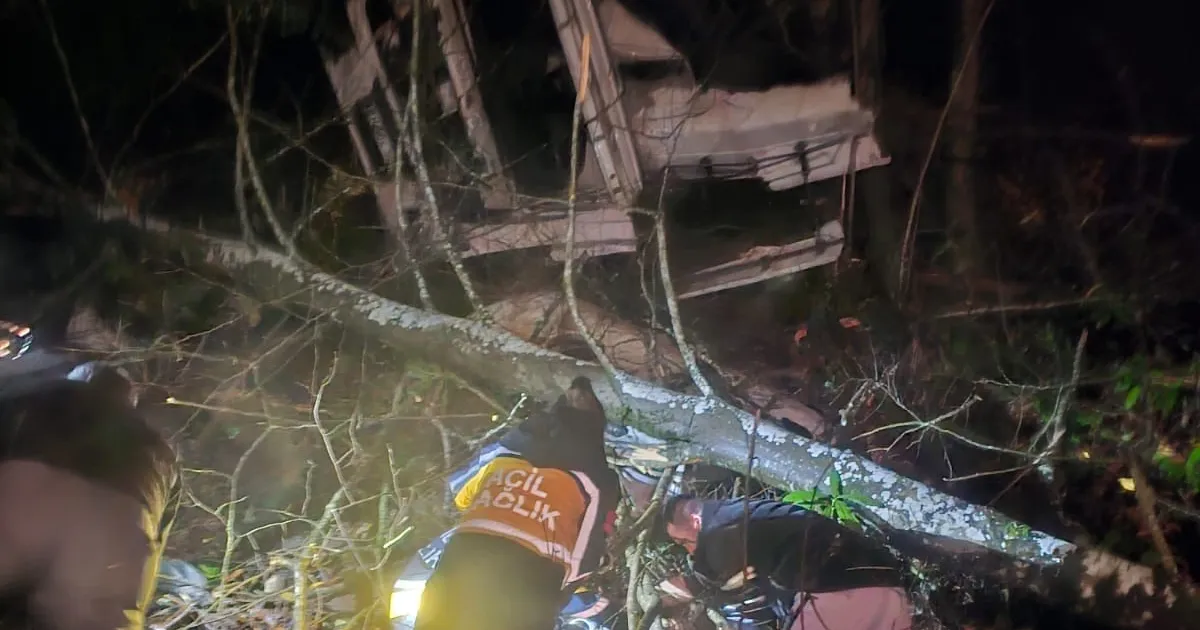 Düzce’de tomruk yüklü tır uçuruma yuvarlandı