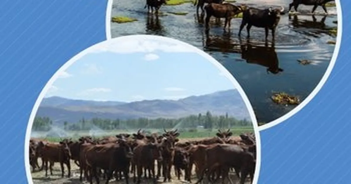 Halk elinde ıslaha 2,7 milyar TL destek