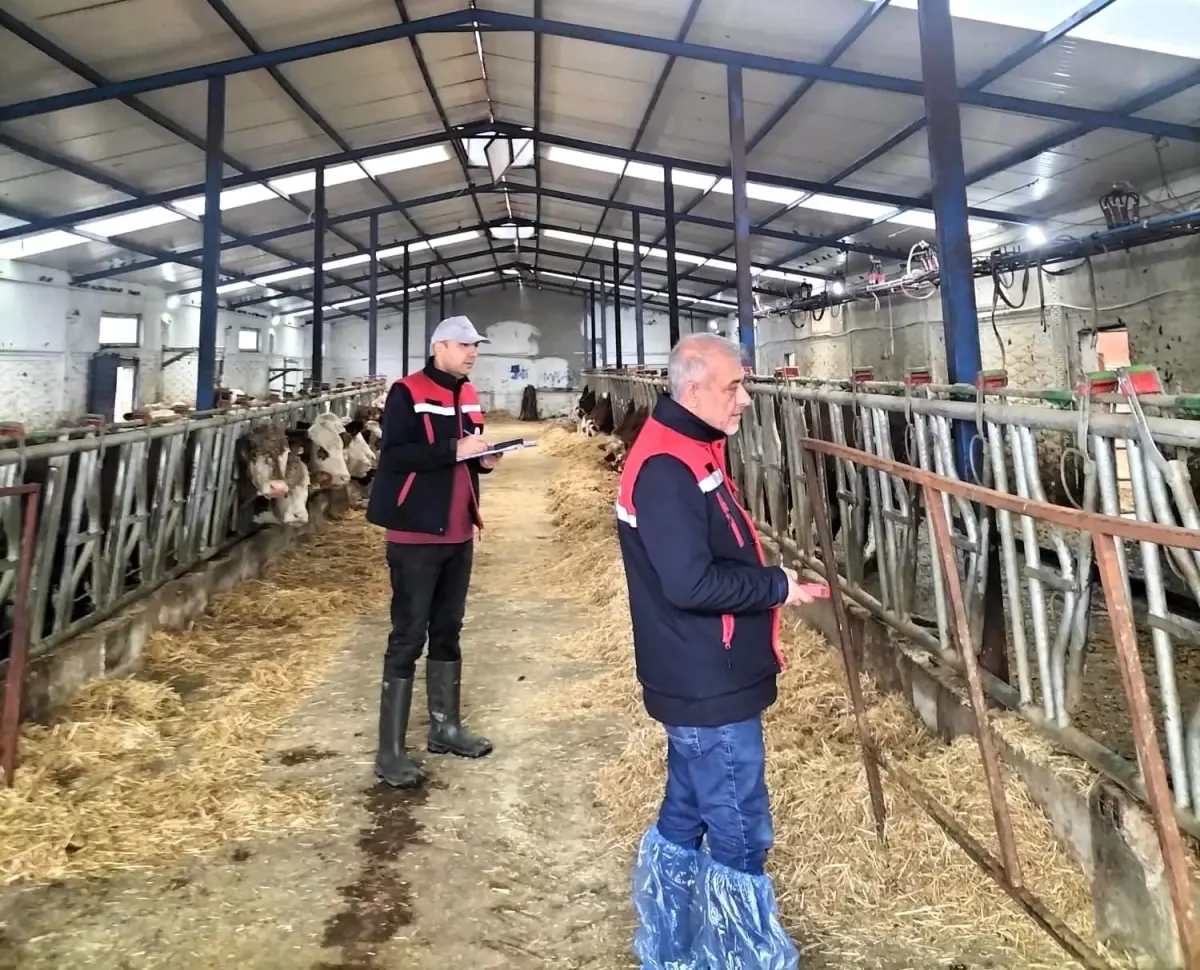 Afyon’da Besicilik Kapasite Ölçümleri Devam Ediyor