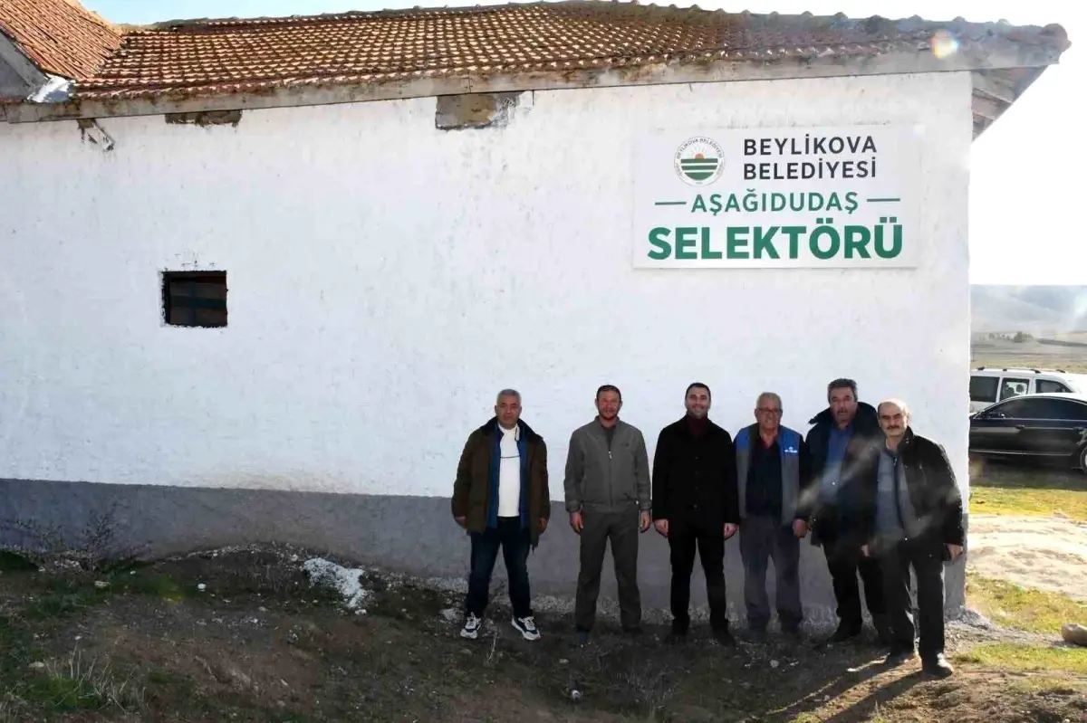 Beylikova Belediyesi’nden Aşağıdudaş Mahallesi’ne selektör tesisi