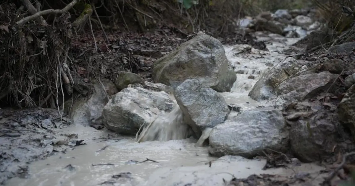 Bursa’da çevre felaketi. Maden atık barajı çöktü, kimyasal maddeler su ve toprağa karıştı
