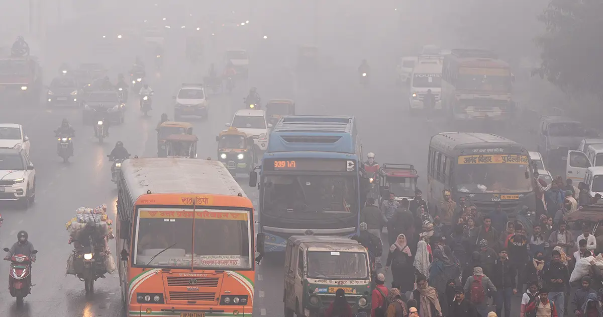 Covid’den 5 kat daha ölümcül. Nipah virüsü Türkiye’ye gelir mi? Dünya Sağlık Örgütü’nden açıklama var