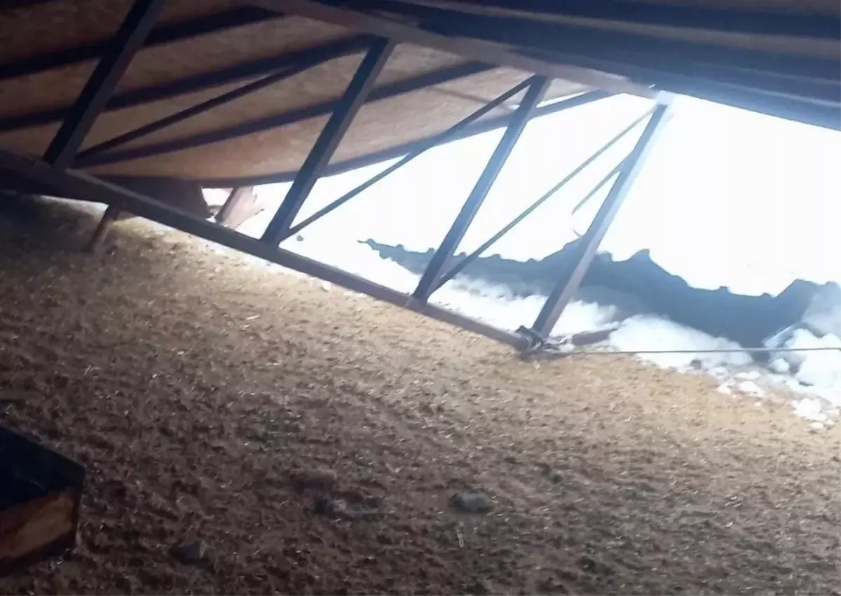 Mardin’de Kar Yağışı Eğlenceye Dönüştü