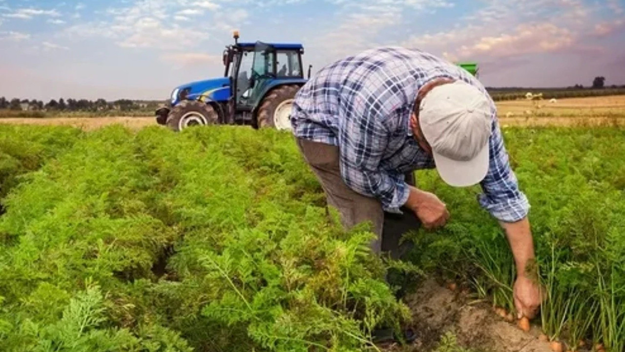 Kırsalda 10 Milyar Liralık Yatırım Fırsatı: Başvurular Başladı