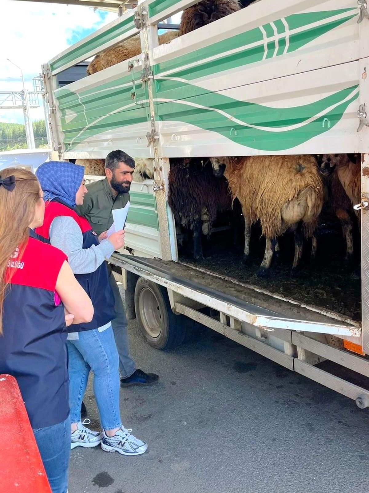 Elazığ’da Kurban Bayramı Öncesi Hayvan Denetimleri Sürüyor